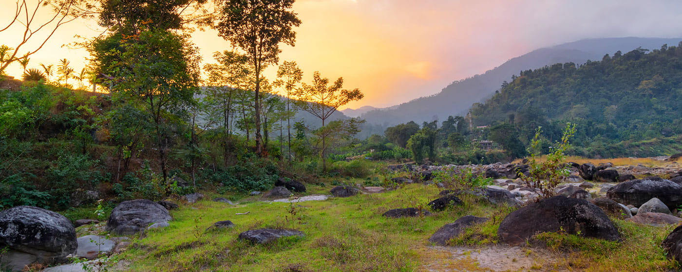 Dooars Travel Guide