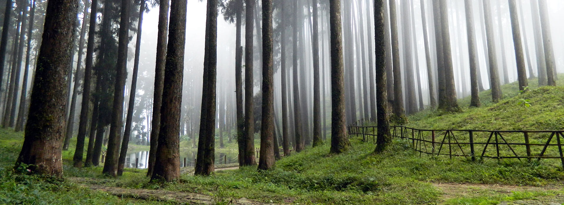 Darjeeling, Pelling & Gangtok Explorer